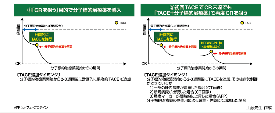 図⑤Up-to-7 in（腫瘍学的TACE不適病態の場合）に対するTACEと分子標的治療薬の併用（TACE施行時、分子標的治療薬は休薬）を前提とした治療（イメージ図）